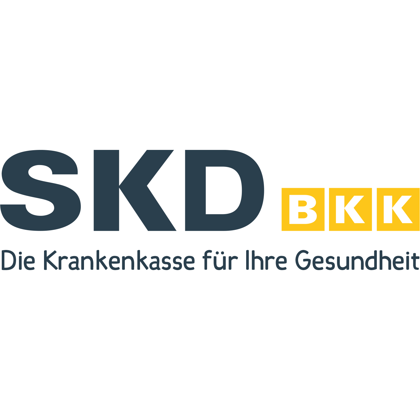  SKD BKK color logo